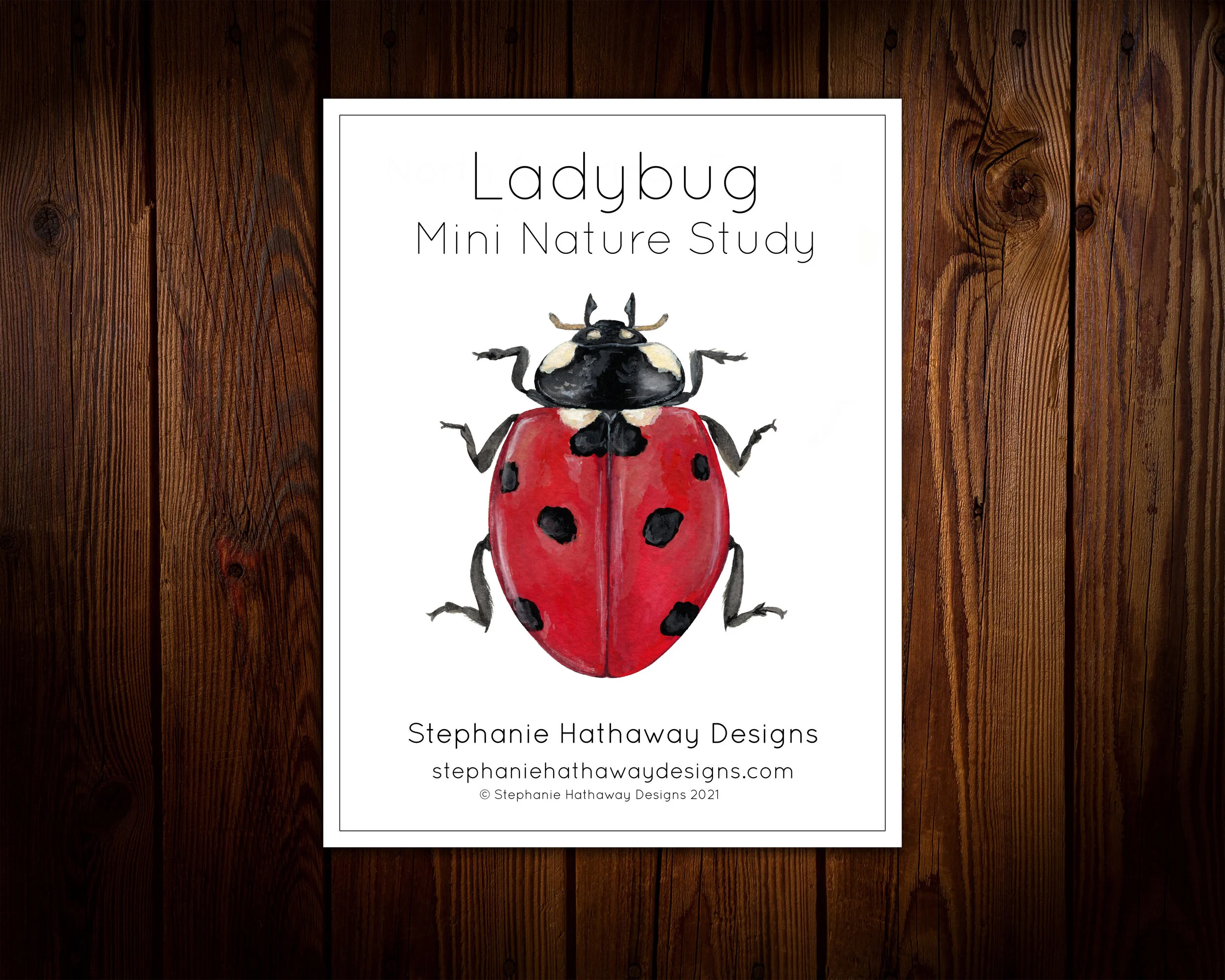 Ladybug Nature Study — Stephanie Hathaway Designs